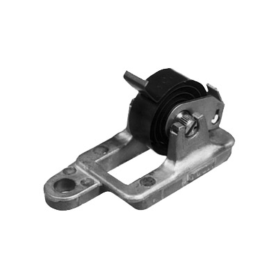 CC53 Choke Coil (Thermostat)